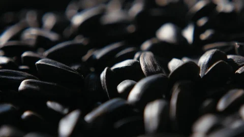 Nice black sunflower seeds falling in a bunch in Slow motion Vidéo 115662943