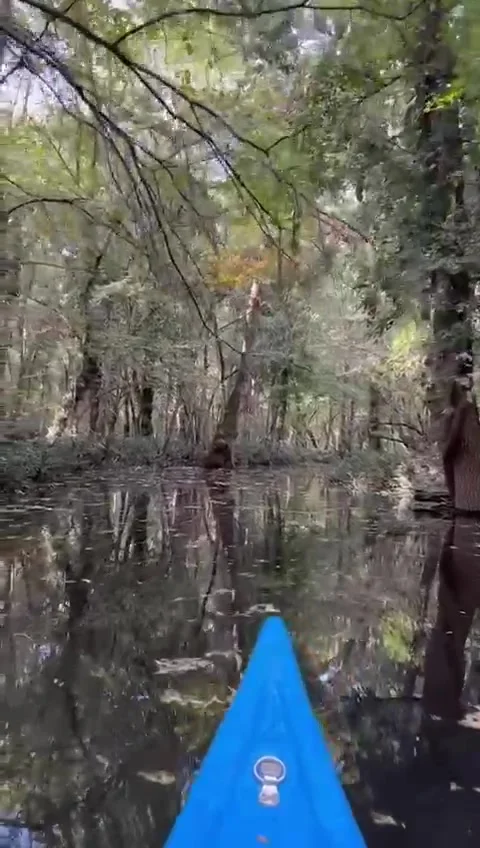 Nice blue canoe ride on river Stock Footage 287833608