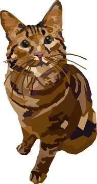 Nice brown cat sitting on a white background Stock Illustration