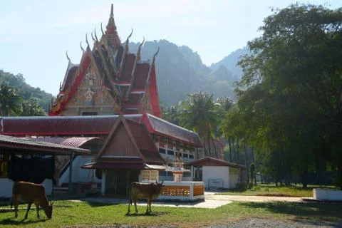 Nice buddhist temple at the Khao Sam roi Yot national park Stock Photos