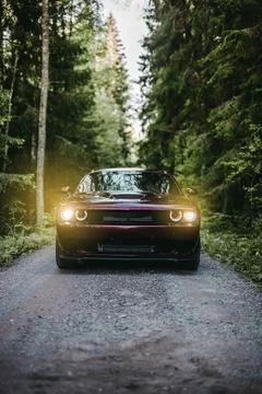 Nice car Foto stock