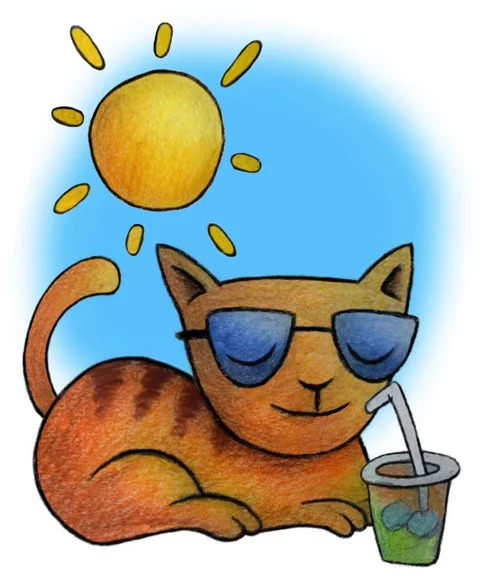 Nice cat enjoying the summer Stock Footage 198001643