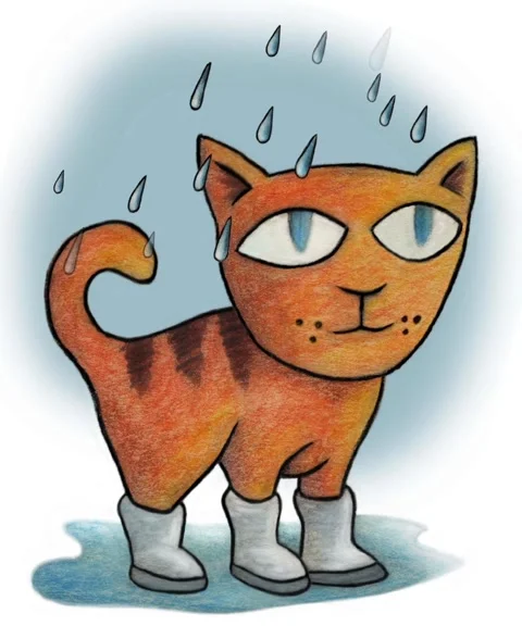 Nice cat with wellies in the rain Stock Footage 202004624