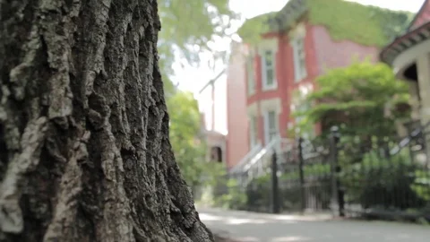 Nice Chicago Street 2 Stock Footage 79031891