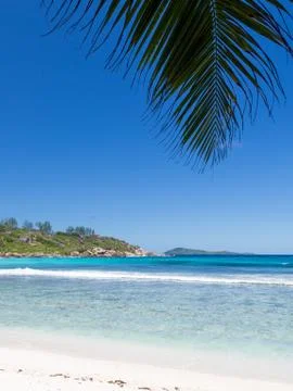 Nice clean beach with clear waters and palm leaf Stock Photos