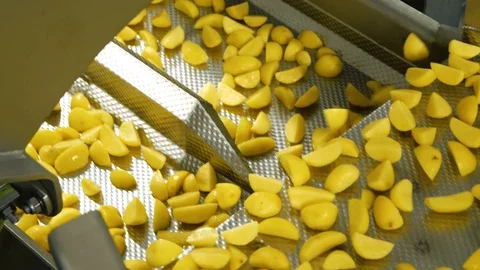 Nice close-up angle of cutted potato. Preparation for packing. Agricultural 스톡 동영상 128204703