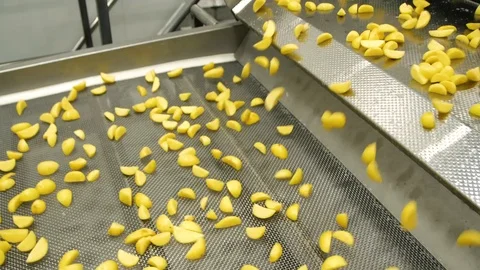 Nice close-up angle of cutted potato. Preparation for packing. Agricultural Stock Footage 128204731