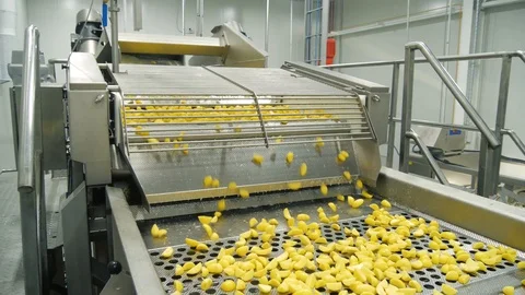 Nice close-up angle of cutted potato. Preparation for packing. Agricultural Stock Footage 128205023