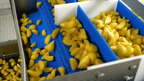 Nice close-up angle of cutted potato. Preparation for packing. Agricultural Stock Footage 128205413
