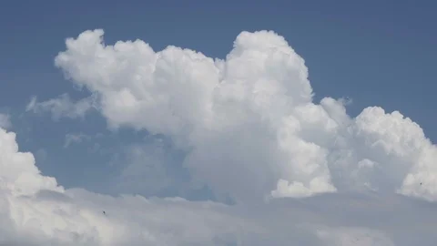 Nice clouds and swallows fly everywhere Stock Footage 110798507