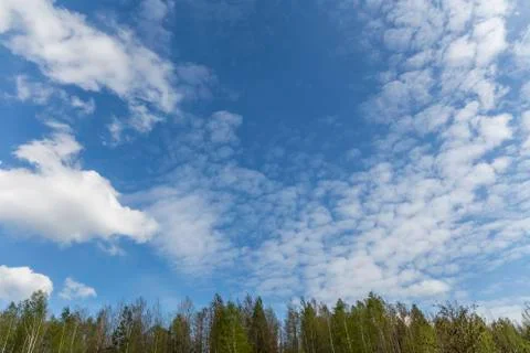 Nice clouds, treetops Stock Photos