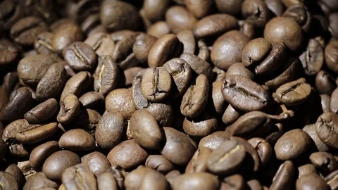 Nice coffee bean moving close up. Stock Footage 114217611