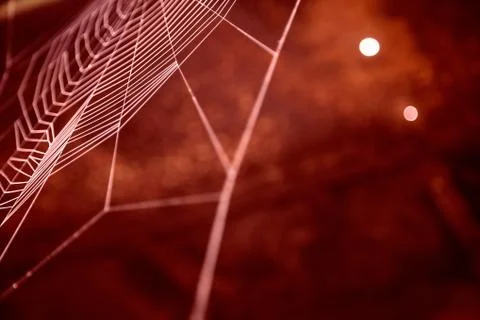 Nice colored cobweb Stock Photos