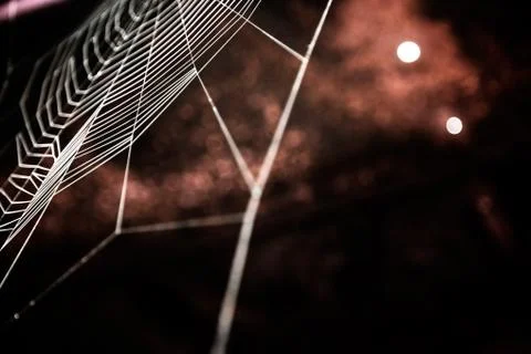 Nice colored cobweb Foto stock