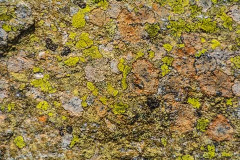 Nice colored stone Foto stock