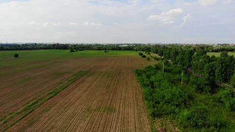 Nice Cornfield Stock Footage 92687377