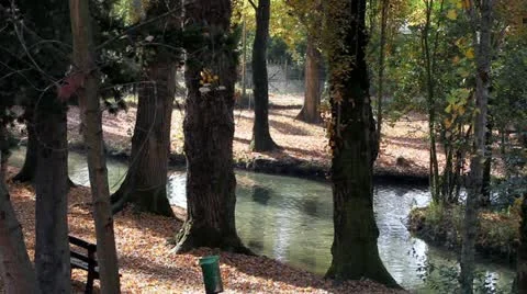 Nice Creek In The Forest - Campello Sul Clitunno, Umbria, Italy Stock Footage
