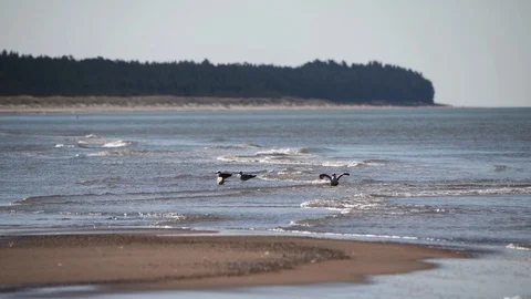 Nice day by Baltic sea. Stock Footage 106337868