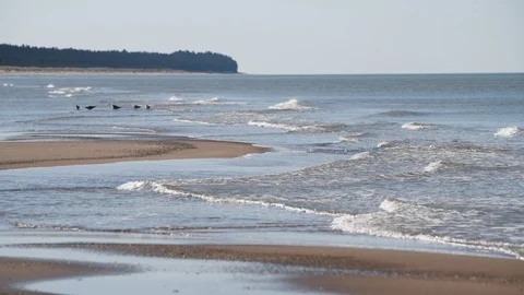 Nice day by Baltic sea. Stock Footage 106337934