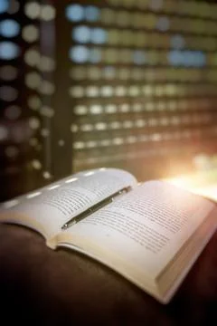 Nice Day with a Book Fotos de archivo