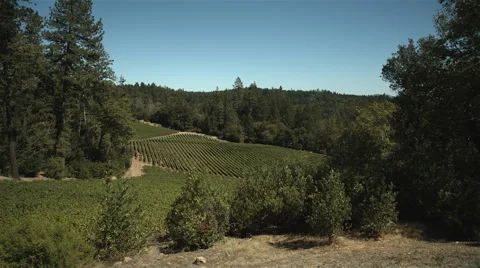 Nice day in napa valley Stock Footage 45248673