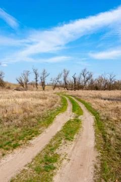 Nice day in steepe Stock Photos