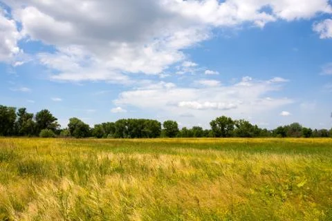 Nice day in steppe Stock Photos
