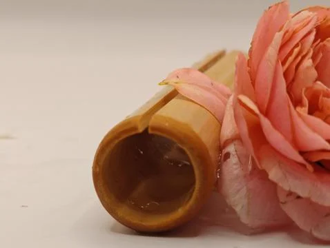 Nice decorative composition Stock Photos