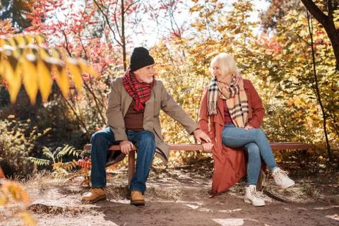 Nice delighted aged couple solving their problem Foto stock