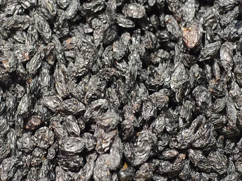 Nice Dried Grapes Vidéo 76891573