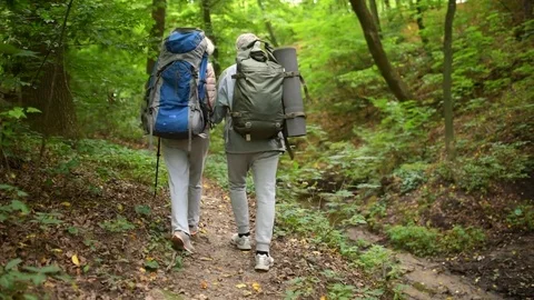 Nice elderly couple walking along the path in the forest Stock Footage 80559063