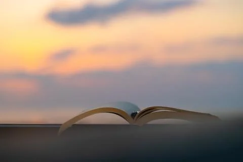Nice Evening with a Book Fotos de archivo