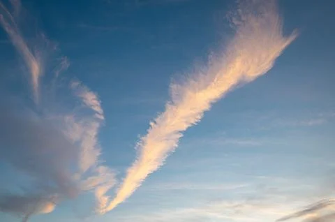 Nice example of a feather cloud Fotos Stock