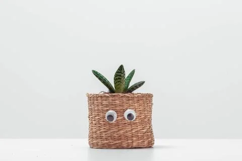 Nice face with eyes on an everyday object Stock Photos
