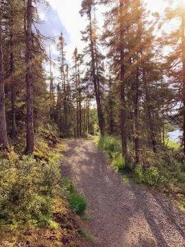 Nice fall walking trail in Labrador, Canada with lighting effects Stock Photos