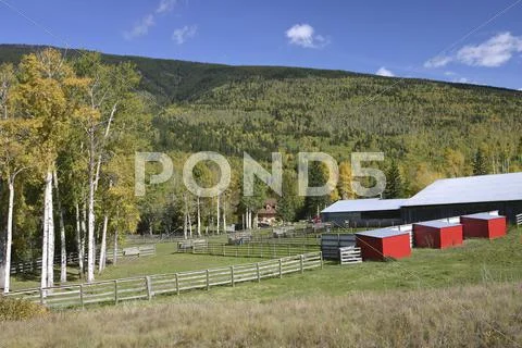 Nice farm landscape Stock Photos