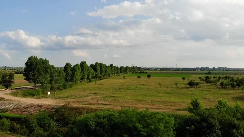 Nice Field Stock Footage 92687431