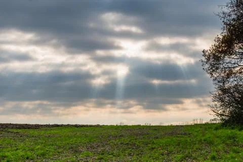 Nice field with tree on side. Visible sun beams from heaven, nice clouds Foto stock