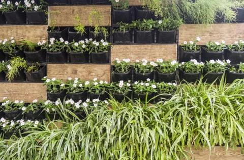 Nice flower background texture Stock Photos