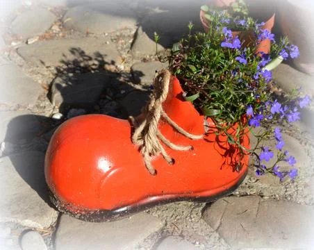 Nice flower in early spring. The first flowers appear in spring season Stock Photos
