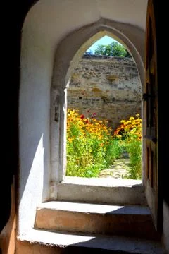 Nice flower in midsummer Stock Photos