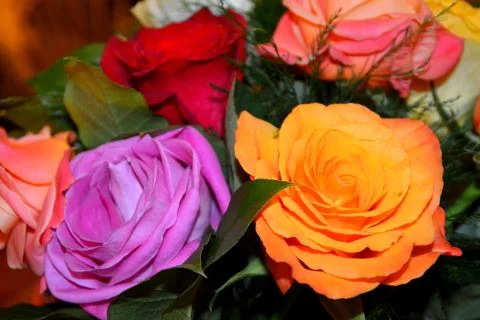 Nice flower Stock Photos