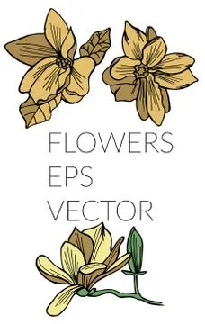Nice flower picture Stock Illustration