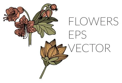 Nice flower picture Stock Illustration