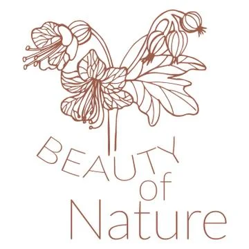 Nice flower picture Stock Illustration