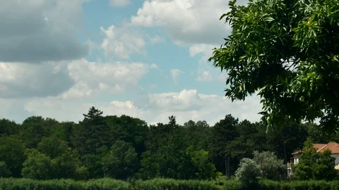 Nice forest creates border around blue sky with white clouds 4k 스톡 동영상 116135012