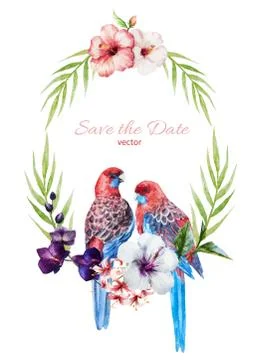 Nice frame with birds Stock Illustration