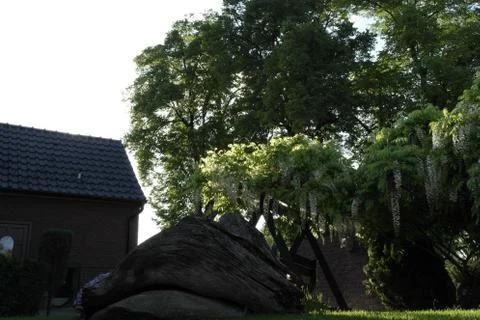 Nice garden Fotos Stock