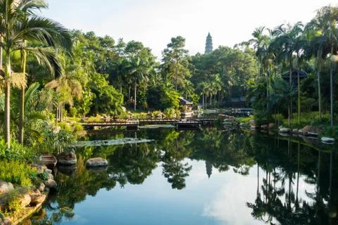 Nice garden Foto stock