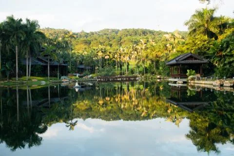 Nice garden Stock Photos